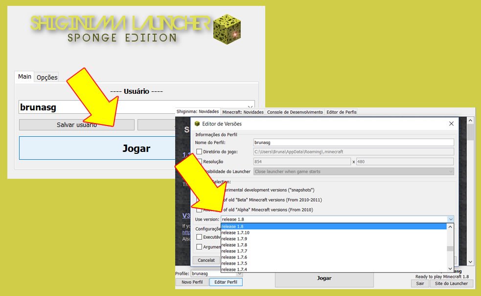 Configurando o Shiginima para jogar Minecraft online